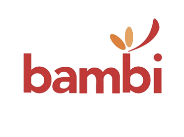 DgBox Client Bambi